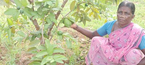 WhatsApp-Image-2024-09-13-at-9.55.18-AM-2