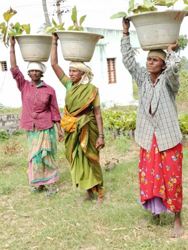 WhatsApp-Image-2024-09-13-at-9.55.20-AM-1