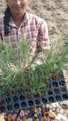 WhatsApp-Image-2024-09-13-at-9.55.22-AM-3