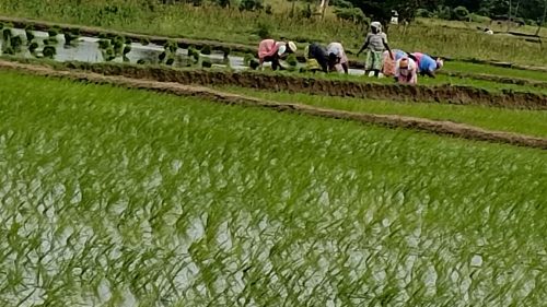 WhatsApp-Image-2024-09-13-at-9.55.23-AM-2