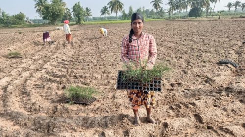 WhatsApp-Image-2024-09-13-at-9.55.23-AM