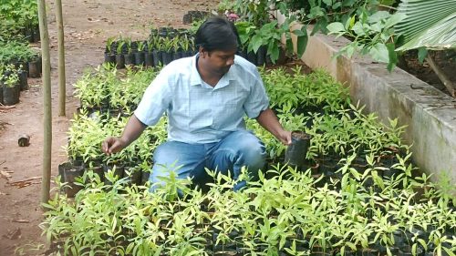 WhatsApp-Image-2024-09-13-at-9.55.27-AM-1