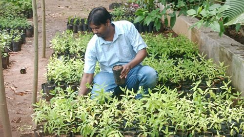 WhatsApp-Image-2024-09-13-at-9.55.27-AM-2