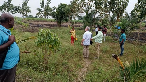 WhatsApp-Image-2024-09-13-at-9.55.32-AM-2