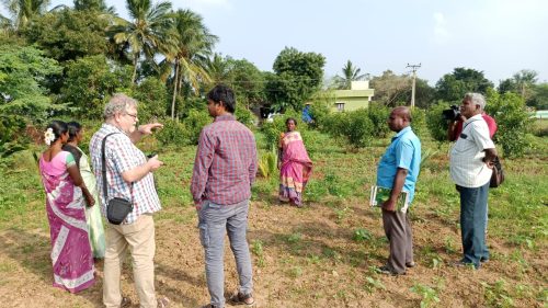 WhatsApp-Image-2024-09-13-at-9.55.32-AM-3