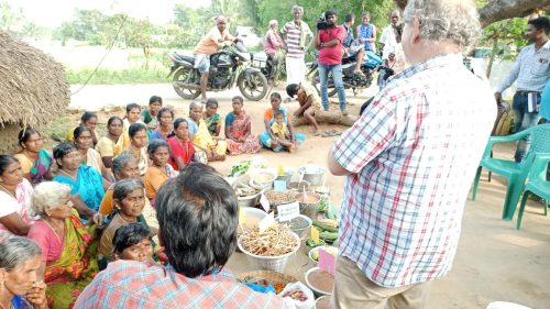 WhatsApp-Image-2024-09-13-at-9.55.33-AM-1