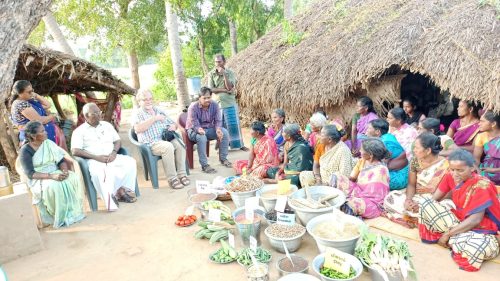 WhatsApp-Image-2024-09-13-at-9.55.33-AM-2