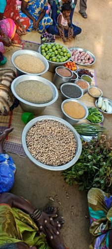 WhatsApp-Image-2024-09-13-at-9.55.36-AM-2