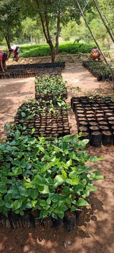 WhatsApp-Image-2024-09-13-at-9.55.36-AM