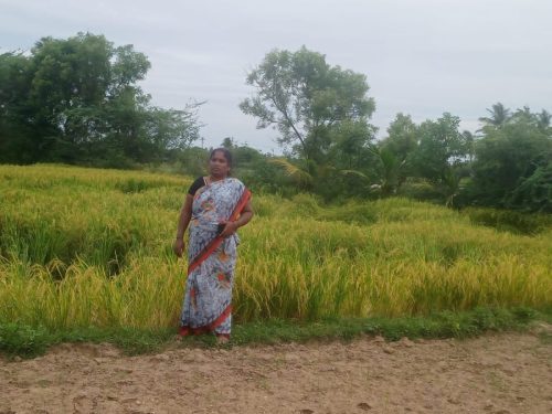 WhatsApp-Image-2024-09-14-at-12.14.40-PM-1