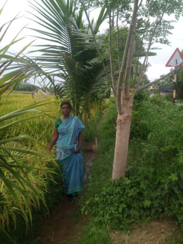 WhatsApp-Image-2024-09-14-at-12.14.40-PM