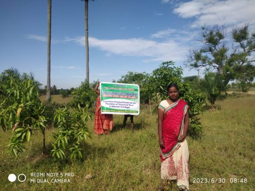 WhatsApp-Image-2024-09-14-at-12.22.47-PM-1