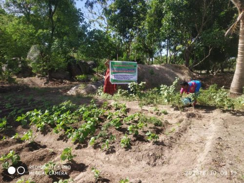 WhatsApp-Image-2024-09-14-at-12.22.47-PM-2