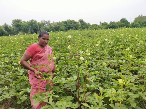 WhatsApp-Image-2024-09-14-at-12.22.48-PM-1