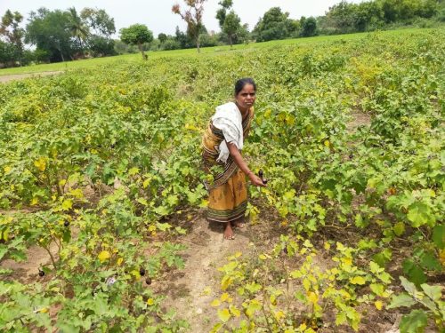 WhatsApp-Image-2024-09-14-at-12.22.48-PM-2