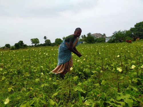 WhatsApp-Image-2024-09-14-at-12.22.48-PM