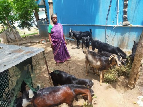 WhatsApp-Image-2024-09-14-at-12.22.49-PM-1