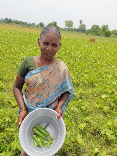 WhatsApp-Image-2024-09-14-at-12.22.49-PM