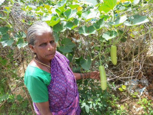 WhatsApp-Image-2024-09-14-at-12.22.50-PM