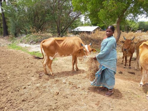 WhatsApp-Image-2024-09-14-at-12.22.51-PM